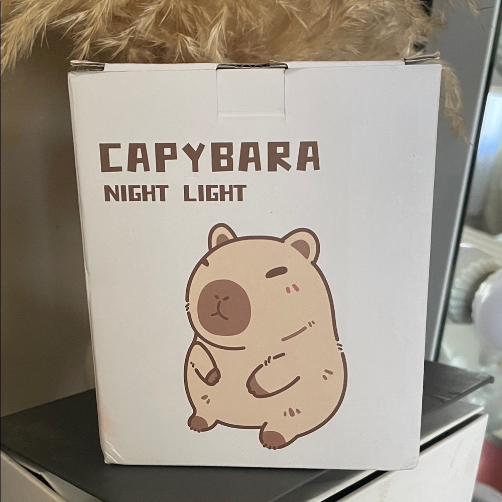 Squishy CapyBara Night Light